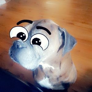 Meet your Posher, Mr